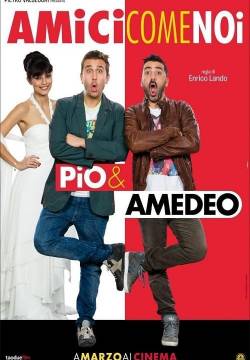 Amici come noi (2014)