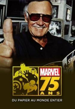 Marvel: 75 Years, From Pulp to Pop! (2014)