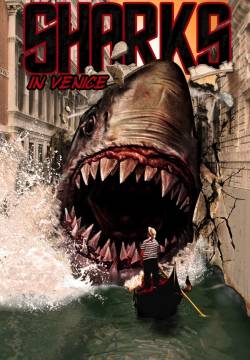 Shark in Venice (2008)